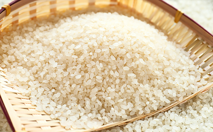 天水の恵米「コシヒカリ・ミルキークイーン・彩のきずな」白米3kgずつおすすめ米セット お米 