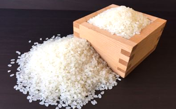 特別栽培米「コシヒカリ」白米45kg（9kg×5回のお届け）