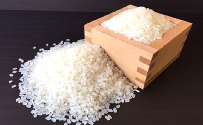 天水の恵米「彩のきずな」白米15kg（5kg×3回のお届け） お米 3回便