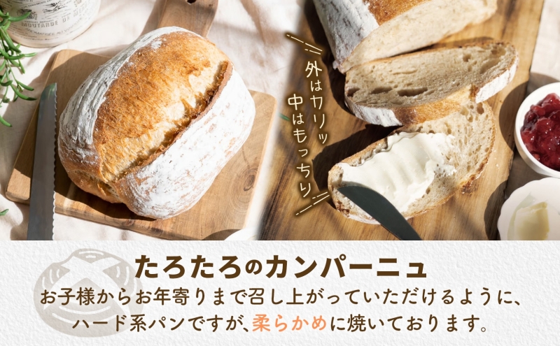 ぱん工房たろたろ プレーンカンパーニュ 2個 カンパーニュ パン プレーン 自然な甘み シンプル 小麦 農林61号 濃厚 芳醇 香り もっちり 食感 ハード系 柔らかめ 埼玉県 嵐山町