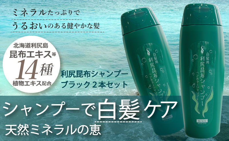 利尻昆布 ヘアカラー シャンプー ブラック 2本セット
