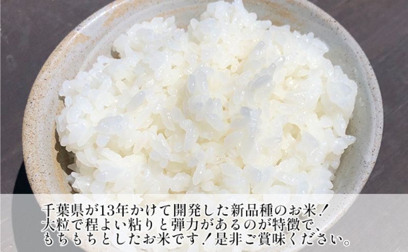 米 令和6年 新品種 粒すけ 10kg （ 5kg×2  ） 千葉産 乾式 無洗米　【 お米 こめ コメ おこめ 】