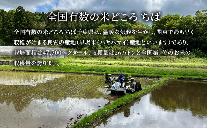 米 令和6年 新品種 粒すけ 10kg （ 5kg×2  ） 千葉産 乾式 無洗米　【 お米 こめ コメ おこめ 】