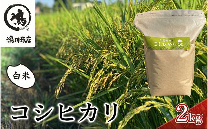 千葉産 コシヒカリ 白米 2kg　【 お米 コシヒカリ 米 白米 2kg 】