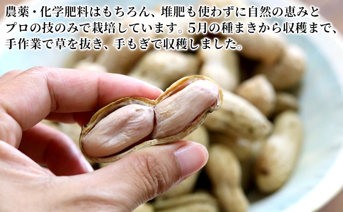 落花生 あんばい農園の完熟・適熟 生落花生 セット 1.7kg 食べ比べ　千ブランド【生落花生 落花生 食べ比べ 豆 つまみ おつまみ】 ピーナッツ 大粒 