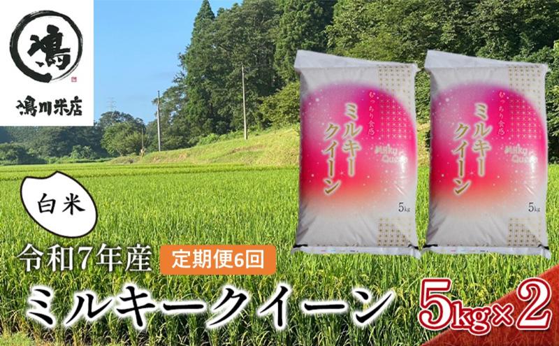 【6ヶ月連続定期便】千葉産 令和7年  ミルキークィーン 白米 10kg（5kg×2）【定期便 ご飯モチモチ 粘り お弁当 おにぎり】 お米 精米 令和7年 注文後精米 冷めてもおいしい