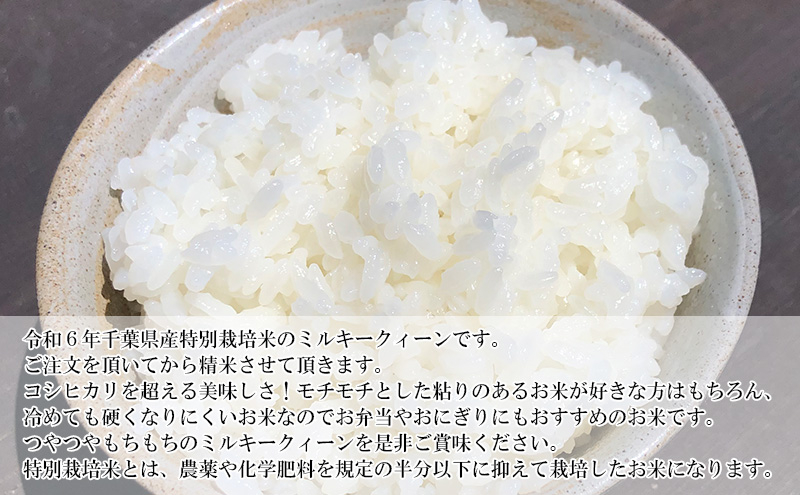 【3ヶ月連続定期便】千葉産 令和6年  特別栽培米ミルキークィーン 白米 10kg（5kg×2）【定期便 ご飯モチモチ 粘り お弁当 おにぎり】