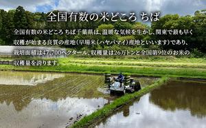 【3ヶ月連続定期便】千葉産 令和6年  特別栽培米ミルキークィーン 白米 10kg（5kg×2）【定期便 ご飯モチモチ 粘り お弁当 おにぎり】