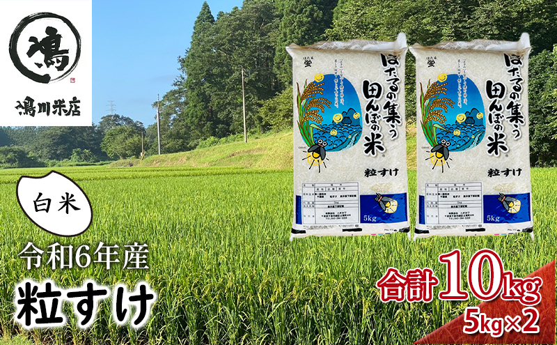 米 令和6年 新品種 粒すけ 10kg （ 5kg×2  ） 千葉産 白米　【 お米 こめ コメ おこめ 】