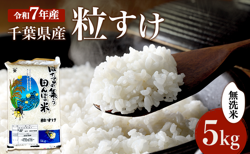 無洗米 粒すけ 5kg 米 精米 白米 お米 おこめ コメ 単一原料米 新品種 お米マイスター 千葉米 ご飯 千葉市