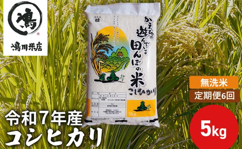 令和7年産　6ヶ月定期便　コシヒカリ　無洗米　5kg　【定期便・ お米 精米 粘りつやつや 甘み 美味しい 新鮮 】