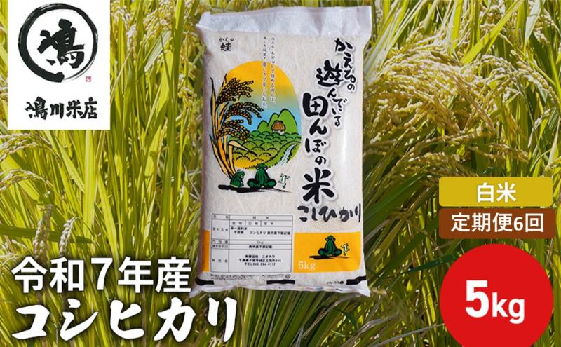 令和7年産　6ヶ月定期便　コシヒカリ　白米　5kg【定期便 お米 白米 粘り甘み】 精米 粘りつやつや 美味しい 新鮮