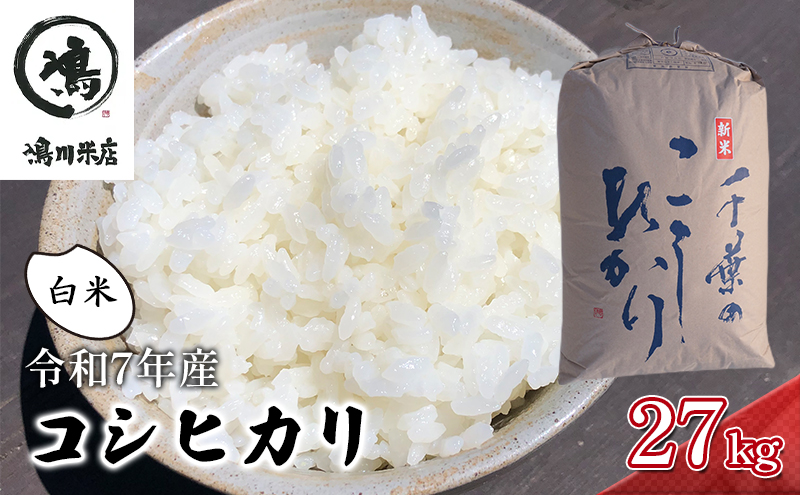 千葉産　令和7年コシヒカリ　白米27kg【 お米 粘りつやつや 甘み】 精米 ほんのり甘み 食感 新鮮