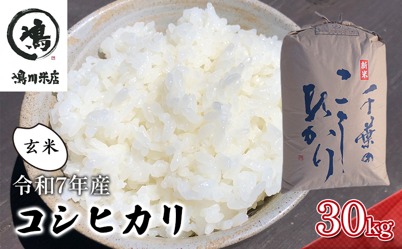 千葉産　令和7年コシヒカリ　玄米30kg【 お米 粘りつやつや 甘み】 ほんのり甘み 食感 新鮮