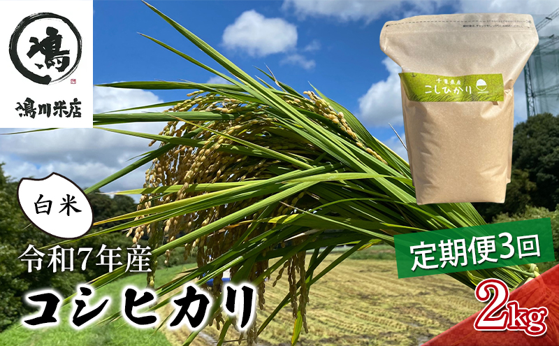令和7年 3ヶ月定期便　コシヒカリ　白米　2kg【 お米 粘りつやつや 甘み】 精米 美味しい 新鮮
