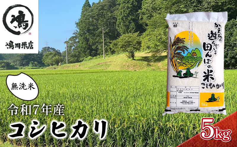 最短出荷 2日から7日以内に発送 令和7年  コシヒカリ　無洗米　5kg お米 精米 粘りつやつや 甘み 美味しい 新鮮