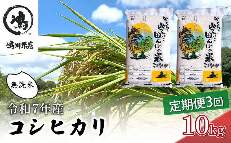 令和7年 3ヶ月定期便　コシヒカリ　無洗米　10kg（5kg×2）【定期便 お米  粘り甘み】 精米 粘りつやつや 美味しい 新鮮