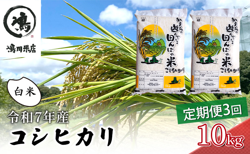 令和7年 3ヶ月定期便　コシヒカリ　白米　10kg（5kg×2）【定期便 お米 白米 粘り甘み】 精米 粘りつやつや 美味しい 新鮮