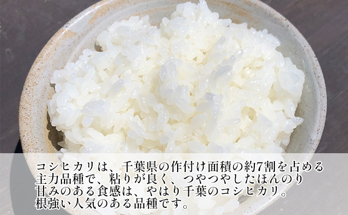 令和6年産　3ヶ月定期便　コシヒカリ　無洗米　10kg（5kg×2）【定期便 お米 白米 粘り甘み】