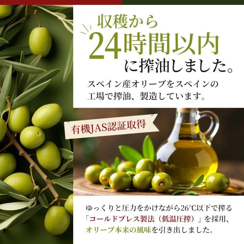 有機 エクストラバージンオリーブオイル 340g 3本 エキストラバージン オリーブオイル 成城石井 千葉市