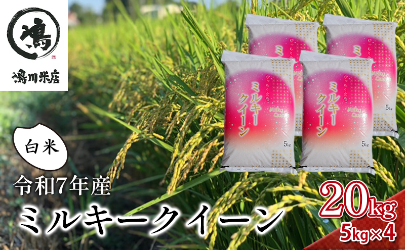 米 令和7年 ミルキークイーン 20kg ( 5kg × 4 ) 千葉産 白米　【 お米 ミルキークイーン こめ コメ おこめ 】