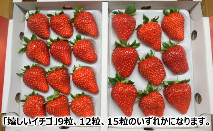 千葉市食のブランド認定　嬉しいイチゴ　完熟紅ほっぺ　900g（2パック）【千ブランド イチゴ 苺 おやつ 果物】