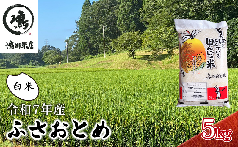 令和7年 ふさおとめ　白米　5kg 【 お米 精米 大粒 粘り気 ファン 】 千葉県