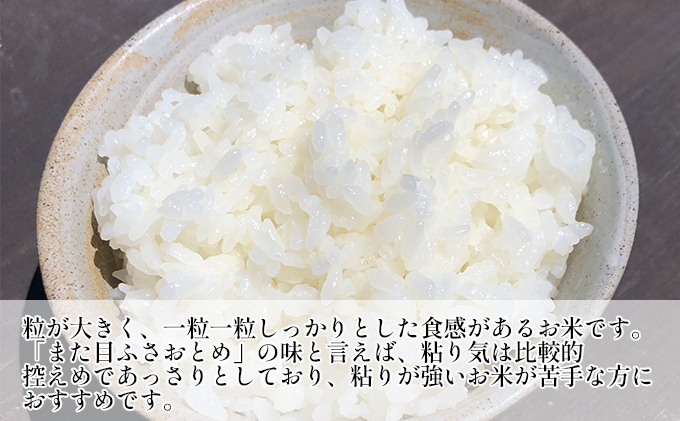 最短出荷 2日から7日以内に発送 令和7年 ふさおとめ　乾式無洗米　10kg（5kg×2）【 お米 精米 大粒 粘り気 ファン 】 千葉県 