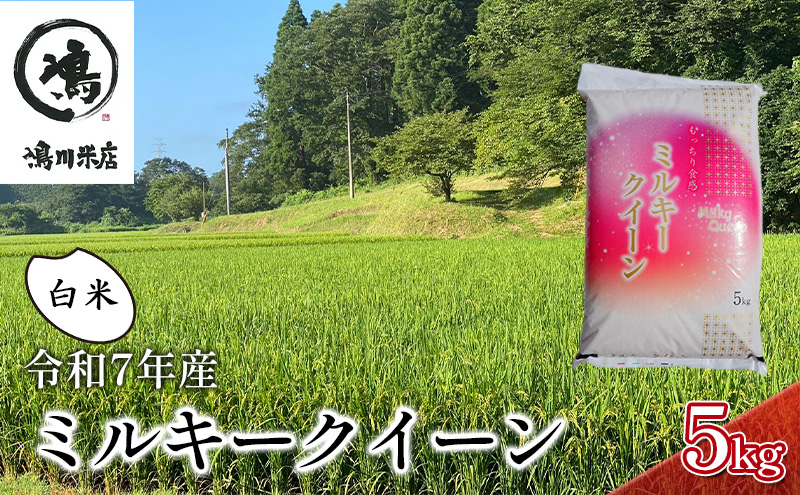 新米　令和7年 ミルキークイーン　白米　5kg【お米 粘り もっちり おにぎり お弁当】 千葉県