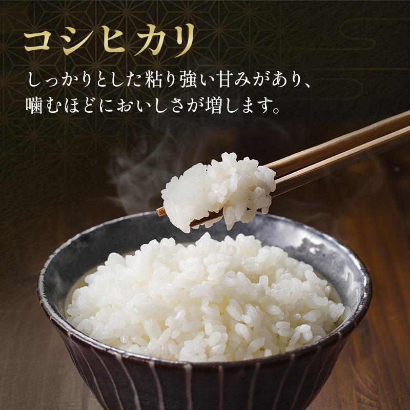 莉、蜥7蟷エ 辟。豢礼アウ 繧ウ繧キ繝偵き繝ェ 5kg 莉、蜥7蟷エ逕」 邀ウ 縺顔アウ 邊セ邀ウ 逋ス邀ウ 蜊倅ク蜴滓侭邀ウ 繝悶Λ繝ウ繝臥アウ 譌ゥ蝣エ邀ウ 縺薙a 繧ウ繝。 縺翫%繧 縺秘」ッ 縺斐ッ繧 5繧ュ繝ュ 騾∵侭辟。譁 縺顔アウ繝槭う繧ケ繧ソ繝シ 驕ク螳 蜊闡臥肇 蜊闡 蜊闡臥恁 蜊闡牙ク