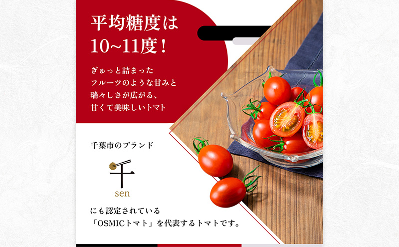 トマトグランプリ優勝 OSMIC トマト 500g Premium フルーツトマト プチトマト あまいトマト 野菜 ギフト 贈答 贈答品 プレゼント 返礼品 ご当地 特産品 名産品 冷蔵 冷蔵配送 千葉県 千葉市