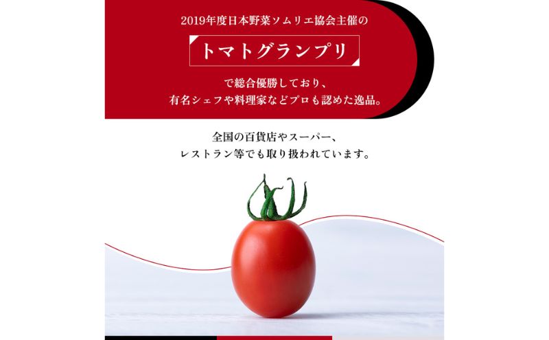 OSMIC トマト トマトグランプリ優勝 mini Premium 500g ミニトマト【トマト ミニトマト 野菜】