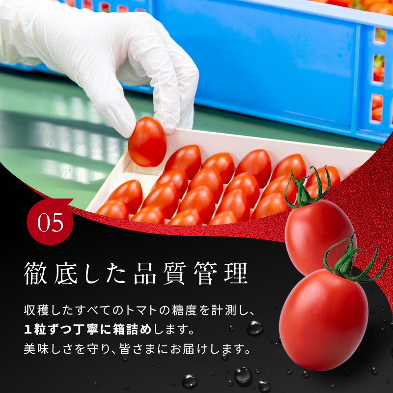 ミニトマト OSMIC トマト mini Premium 1kg フルーツトマト プチトマト 野菜 旬の野菜 季節の野菜 千葉市