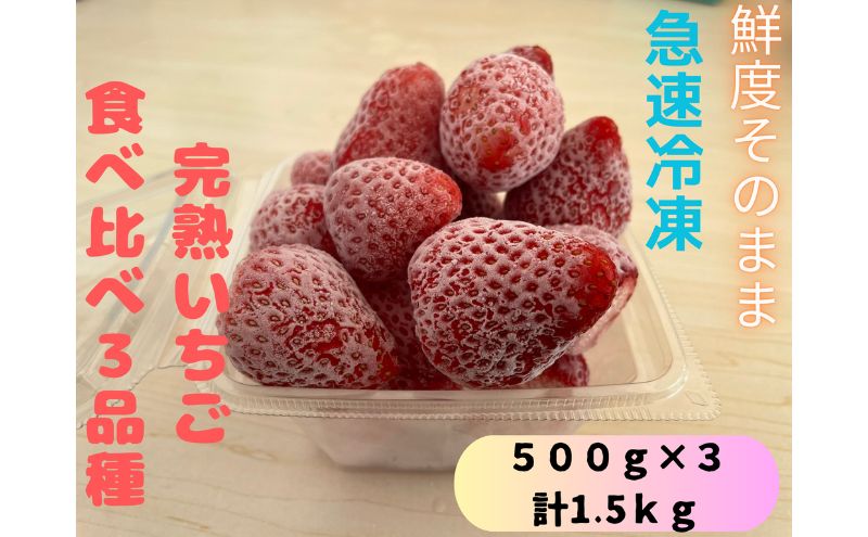 鮮度そのまま!!急速冷凍完熟いちご食べ比べ3品種(紅ほっぺ・かおり野・ほしうらら・やよいひめの中からランダムで3品種)500g×3セット　ふぁいんファーム 果物 冷凍いちご 冷凍フルーツ ストロベリー 国産 