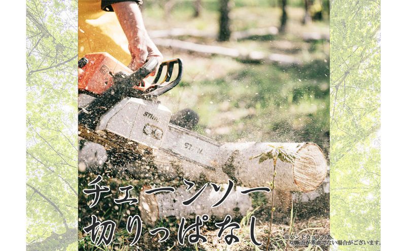 千葉県産切りっぱなし檜丸太3本BBQ・キャンプ・スウェーデントーチ・DIYの素材として便利！