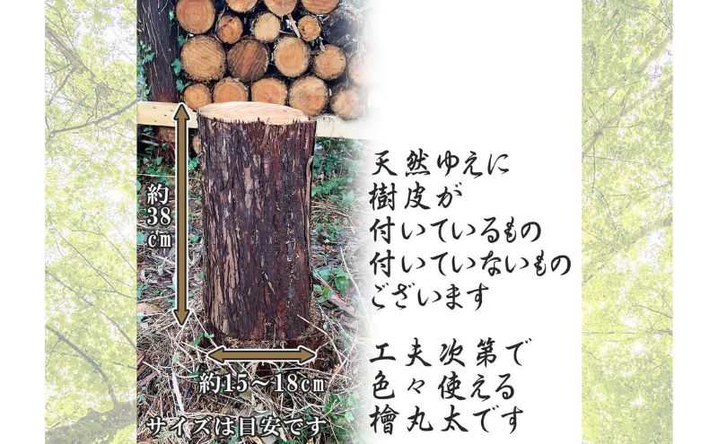 千葉県産切りっぱなし檜丸太4本  BBQ・キャンプ・スウェーデントーチ・DIYの素材として便利！