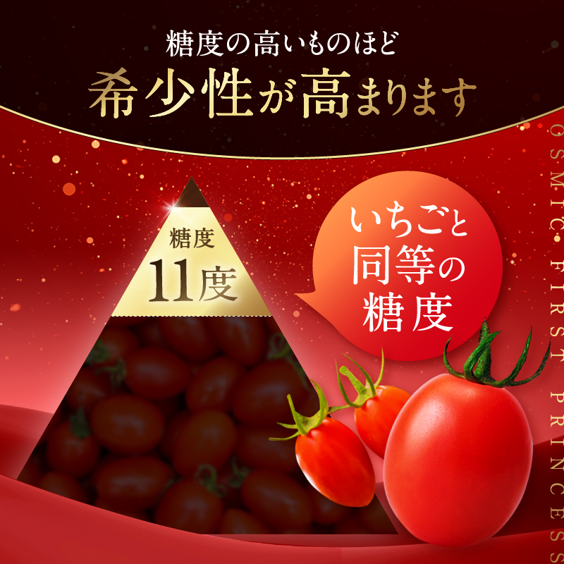 OSMIC FIRST PRINCESS 4箱セット　【トマト オスミック 千 ブランド ミニトマト 野菜】 国産 付け合わせ サラダ トッピング 糖度11 驚きの甘さ 
