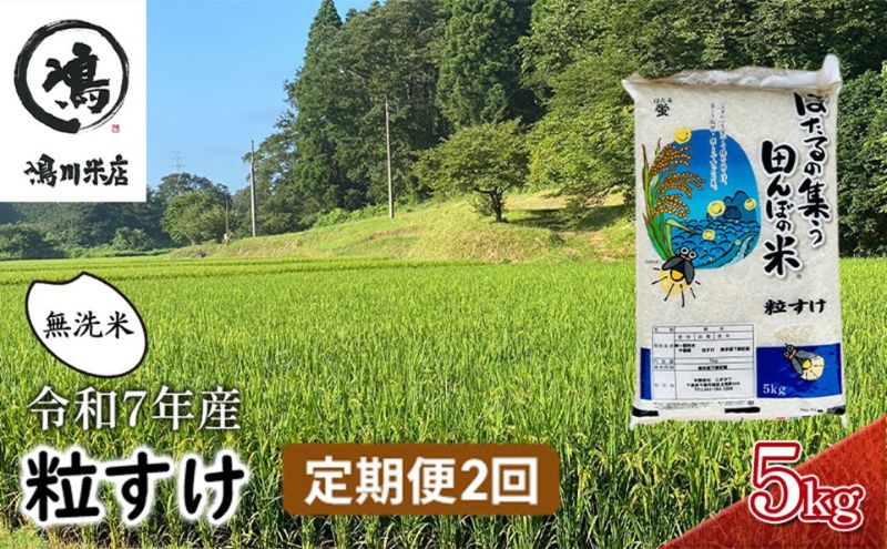 令和7年産 粒すけ　定期便2か月　乾式無洗米　5kg お米