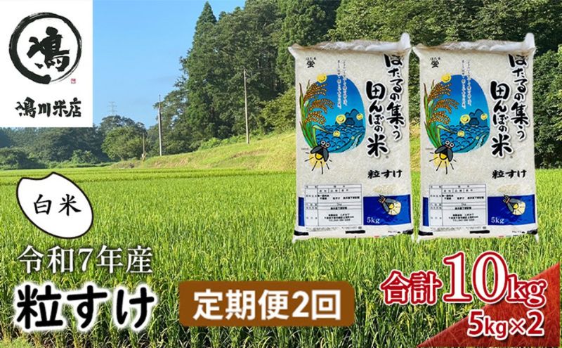 令和7年産 粒すけ 定期便2か月　白米　10kg お米