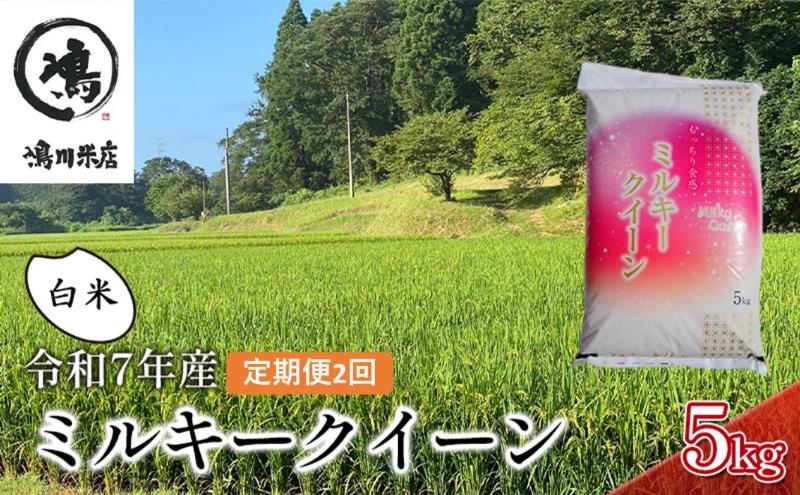 2ヶ月定期便　令和7年  ミルキークィーン　白米　5kg お米 銘柄米 ご飯 おにぎり お弁当 和食 食卓 精米 国産 千葉県産 産地直送