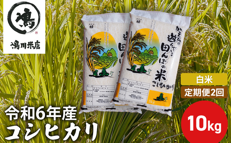 【定期2ヶ月】新米 コシヒカリ　白米　10kg（5kg×2）令和6年産