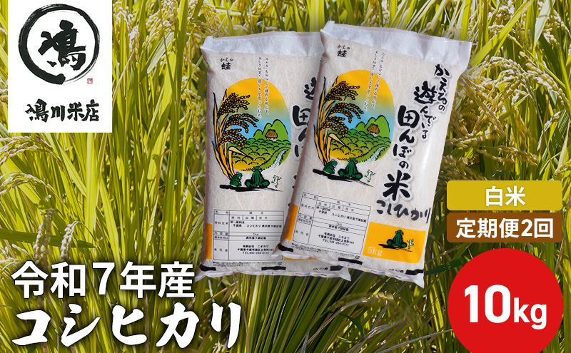 【定期2ヶ月】新米 コシヒカリ　白米　10kg（5kg×2）令和7年産 お米 銘柄米 ご飯 おにぎり お弁当 和食 食卓 精米 国産 千葉県産 産地直送