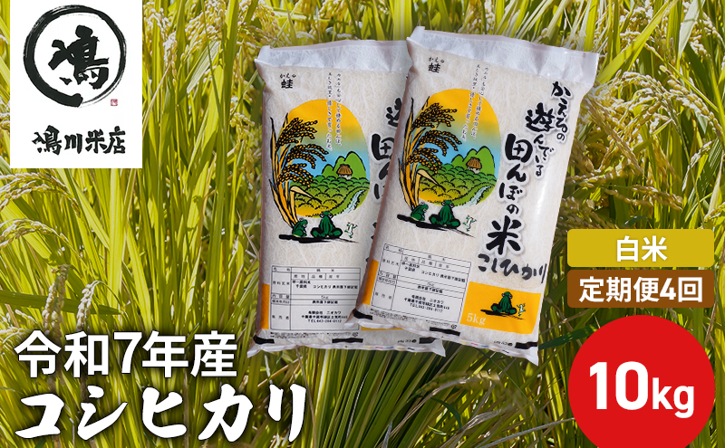 【定期4ヶ月】新米 コシヒカリ　白米　10kg（5kg×2）令和7年産 お米 銘柄米 ご飯 おにぎり お弁当 和食 食卓 精米 国産 千葉県産 産地直送