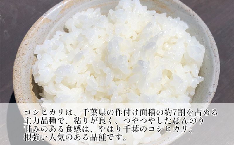 【定期2ヶ月】新米　コシヒカリ　白米　5kg　令和6年産