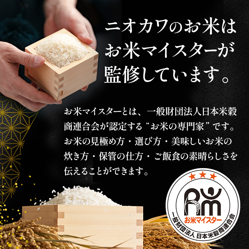 【定期2ヶ月】コシヒカリ 乾式無洗米 5kg 令和7年産 お米 銘柄米 ご飯 おにぎり お弁当 和食 食卓 精米 国産 千葉県産 産地直送 