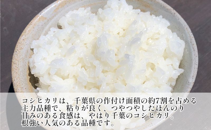 【定期5ヶ月】コシヒカリ 乾式無洗米 10kg（5kg×2）令和7年産 お米 銘柄米 ご飯 おにぎり お弁当 和食 食卓 精米 国産 千葉県産 産地直送 
