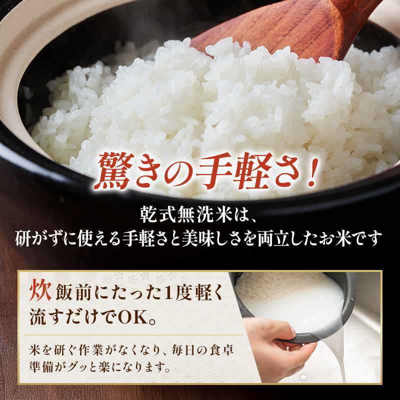 【定期2ヶ月】コシヒカリ 乾式無洗米 5kg 令和7年産 お米 銘柄米 ご飯 おにぎり お弁当 和食 食卓 精米 国産 千葉県産 産地直送 
