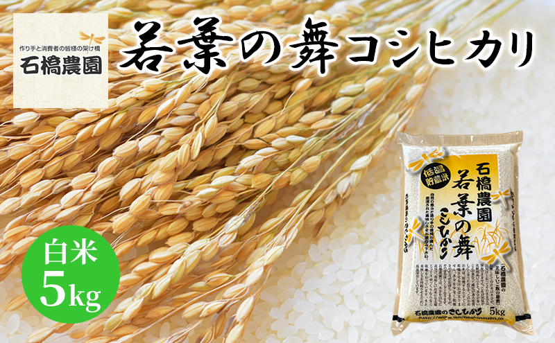 米 若葉の舞 コシヒカリ 白米5kg こしひかり お米 白米 精米 千葉 千葉県 低温保存