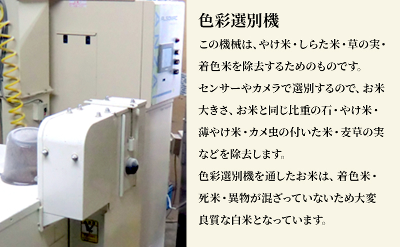 米 若葉の舞 コシヒカリ 玄米食用5kg こしひかり お米 玄米 千葉 千葉県 低温保存