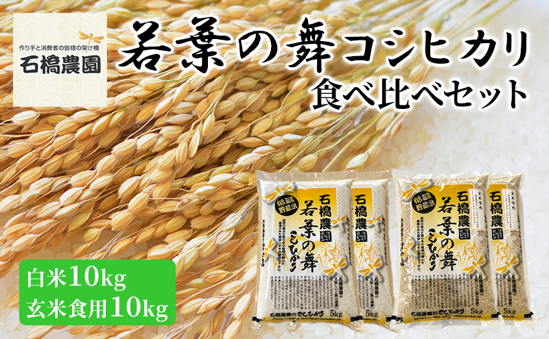 米 若葉の舞 コシヒカリ 白米10kg玄米食用10kg 食べ比べセット こしひかり お米 白米 玄米 セット 食べ比べ 精米 千葉 千葉県 低温保存